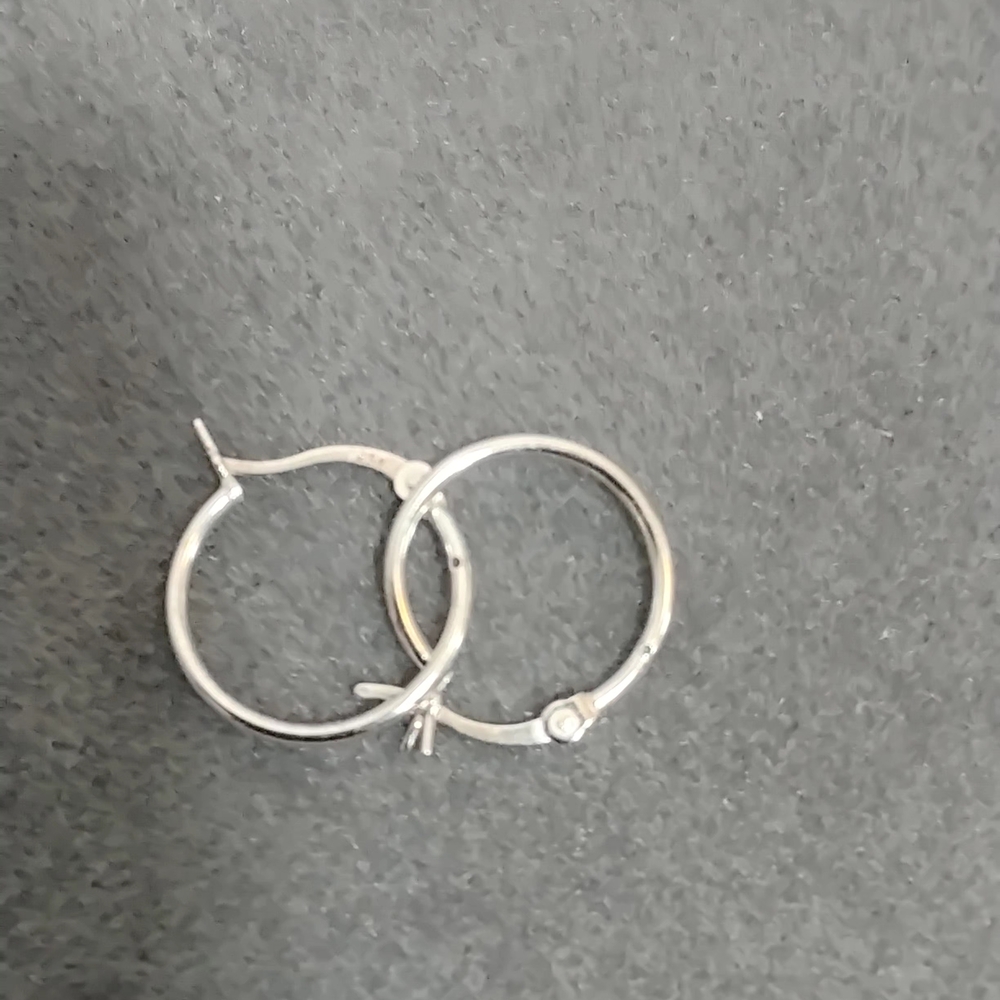 Chic Silver Hoop Earrings